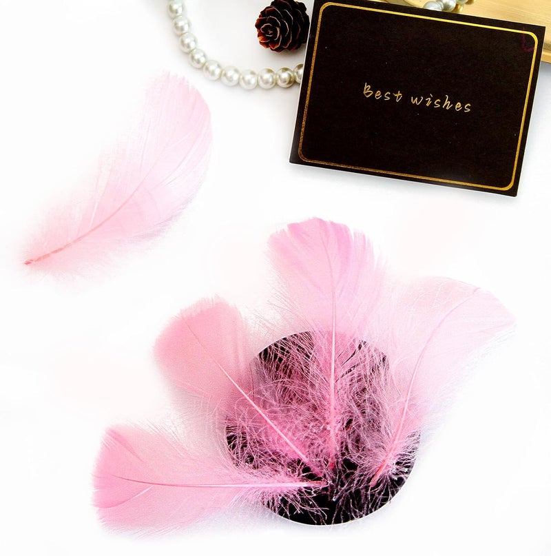 Lamar Feather 300pcs Pink Feathers 2-3 Inches Bulk Feathers for Crafting, Dream Catcher Accessories, Art Projects, DIY Crafting, Handi Crafts, Party Decoration (Light Pink) - Image 5